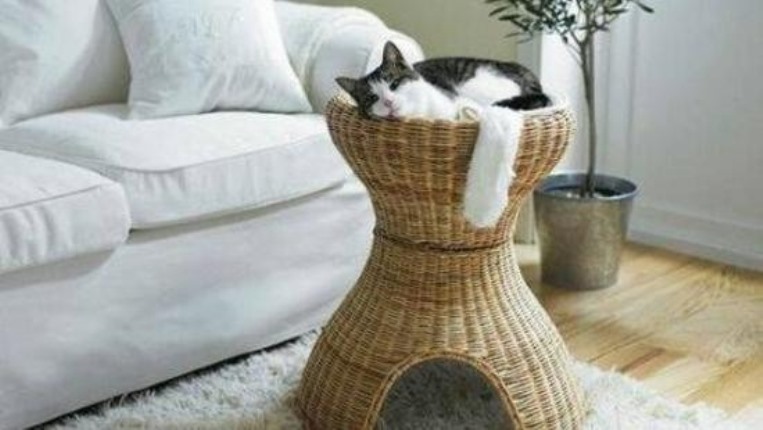 Cama de deals mimbre para gatos